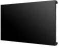 55LV77